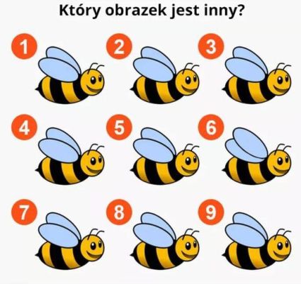 Pszczółki: zagadka