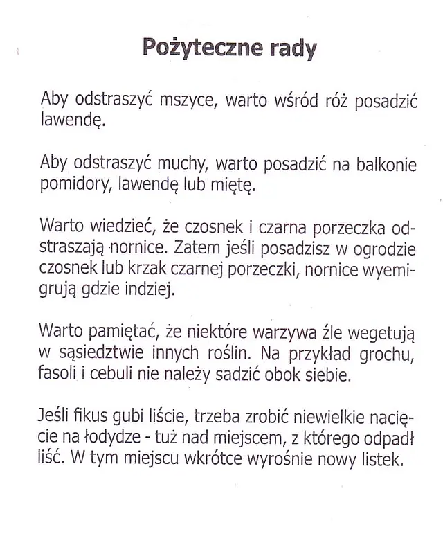 Mszyce w ogrodzie