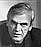 Milan Kundera (z)