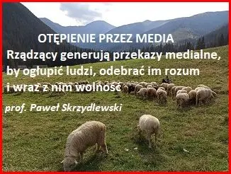Otępienie przez media (0)