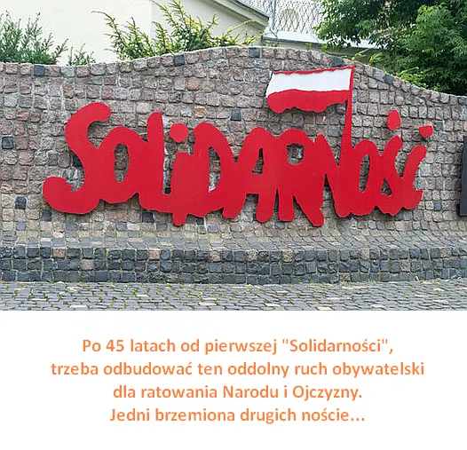 Odbudowa SolidarnościOszust i durnie