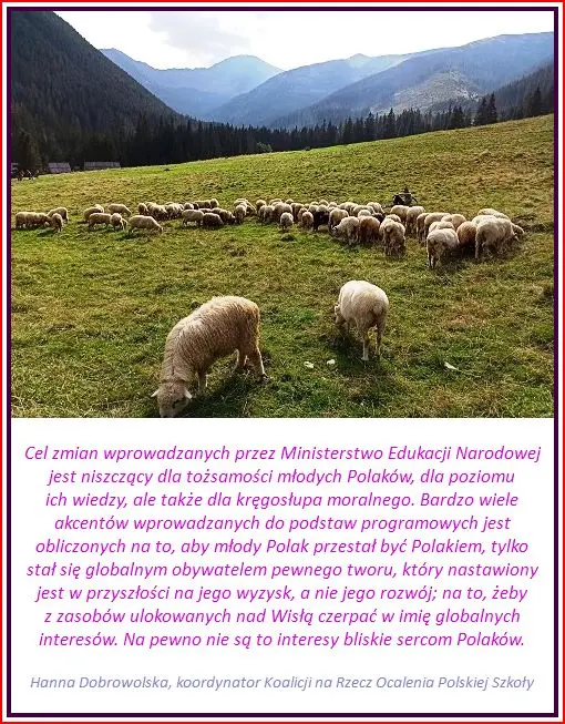 Koalicji na Rzecz Ocalenia Polskiej Szkoły
