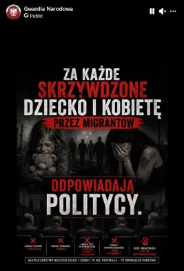 Politycy odpowiadają za każde zło popełnione przez migrantów