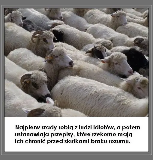 Rządy robią z ludzi idiotów