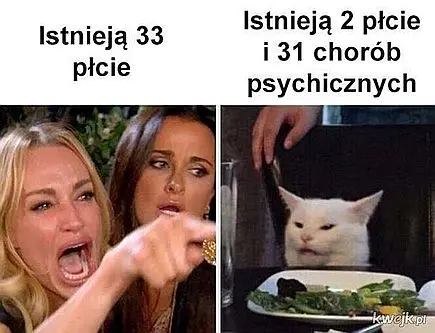 2+31 płci