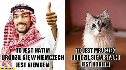 Miejsce urodzenia...