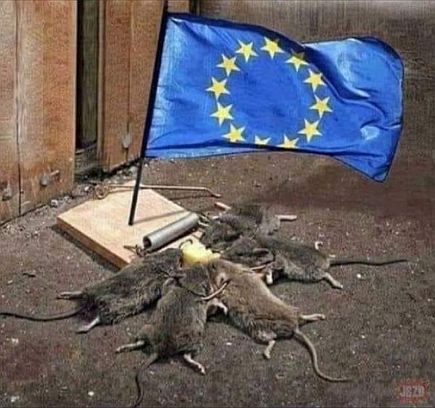 Myszy w UE