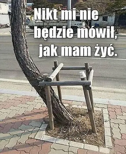 Nikt mi nie będzie mówił
