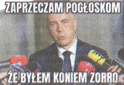 Koń Zorro