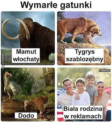 Wymarłe gatunki