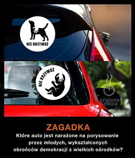 Zagadka: Który samochód ...