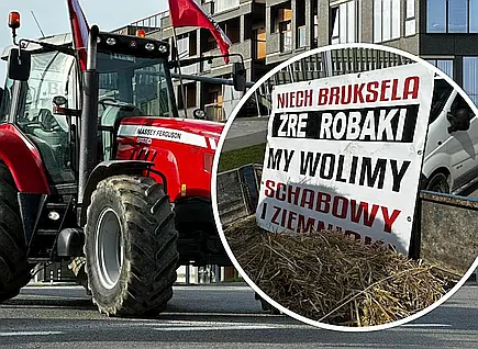 Źródło: sieć Niech Bruksela żre robaki...