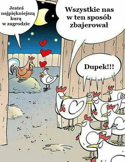Bajer