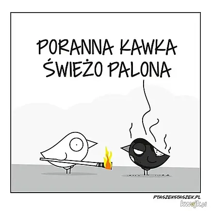 Źródło: niezalezna.pl Kawka świeżo palona