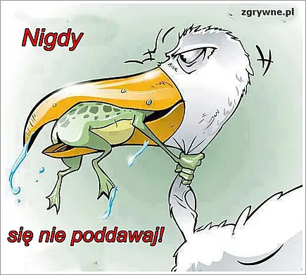 Nigdy się nie poddawaj