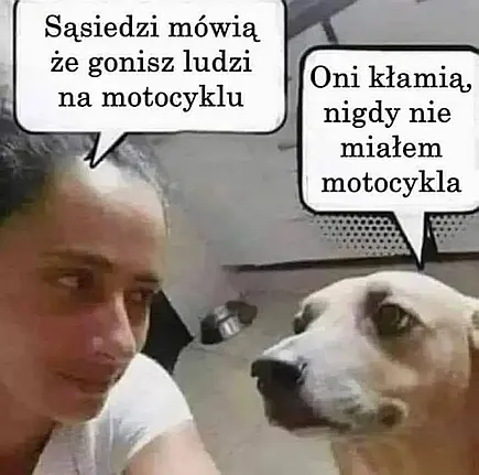 Źródło: niezalezna.pl Oni kłamią