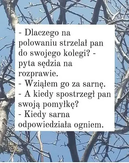 Źródło: niezalezna.pl Polowanie
