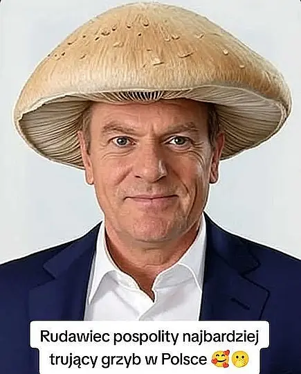 Źródło: niezalezna.pl Trujący grzyb