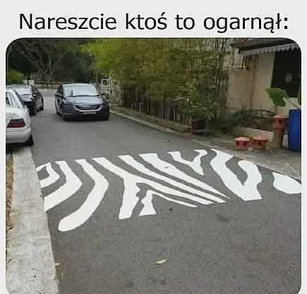 Zebra