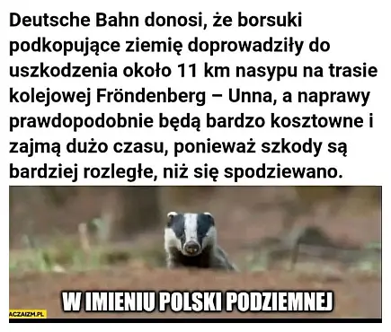 Borsuki: w imieniu Polski Podziemnej