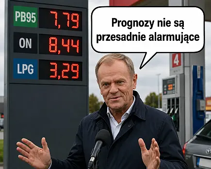 Źródło: niezalezna.pl Prognozy