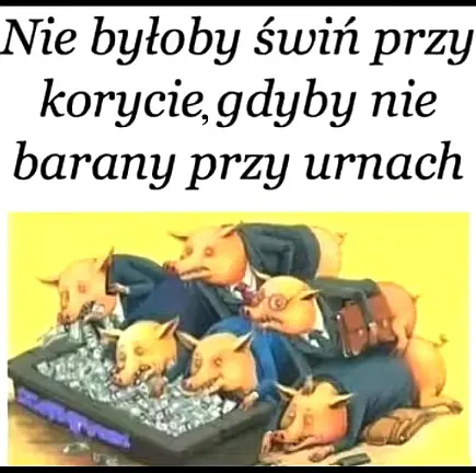 Źródło: sieć Barany przy urnach